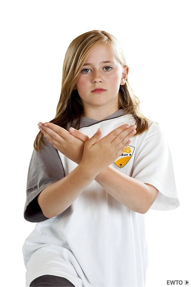 Form in der Kampfkunst